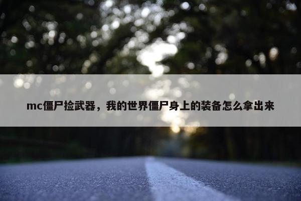 mc僵尸捡武器，我的世界僵尸身上的装备怎么拿出来