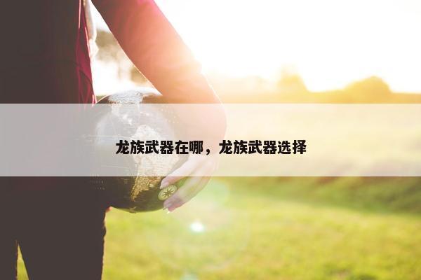 龙族武器在哪，龙族武器选择