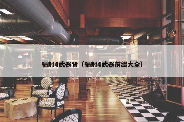 辐射4武器背（辐射4武器前缀大全）
