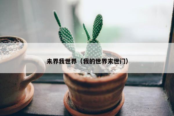 未界我世界（我的世界末世门）
