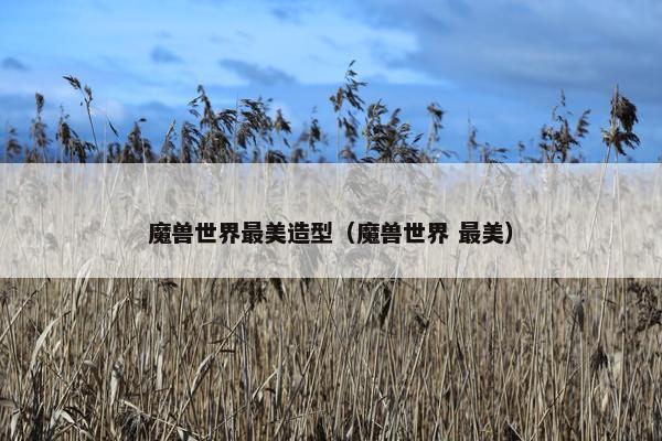 魔兽世界最美造型（魔兽世界 最美）