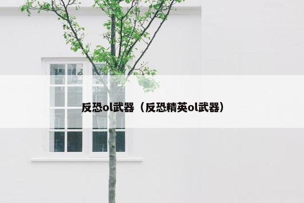 反恐ol武器（反恐精英ol武器）