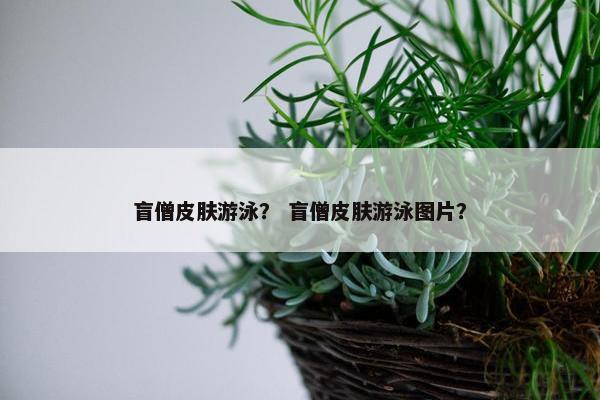 盲僧皮肤游泳？ 盲僧皮肤游泳图片？