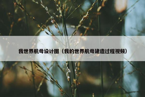 我世界航母设计图（我的世界航母建造过程视频）