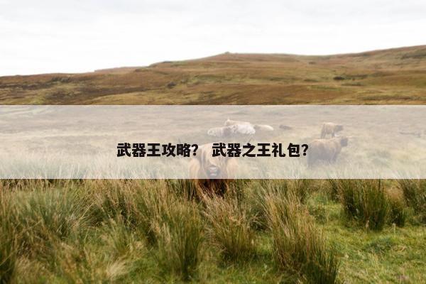 武器王攻略？ 武器之王礼包？
