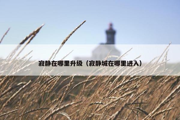寂静在哪里升级（寂静城在哪里进入）