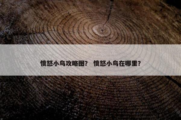 愤怒小鸟攻略图？ 愤怒小鸟在哪里？