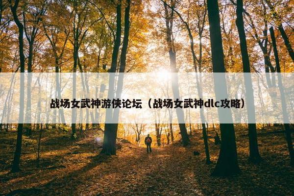 战场女武神游侠论坛（战场女武神dlc攻略）
