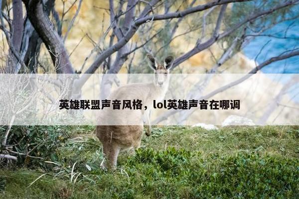 英雄联盟声音风格，lol英雄声音在哪调
