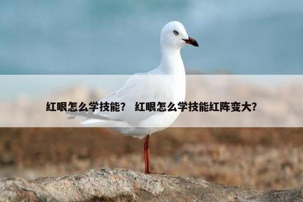 红眼怎么学技能？ 红眼怎么学技能红阵变大？