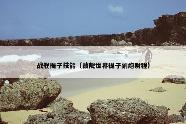 战舰提子技能（战舰世界提子副炮射程）