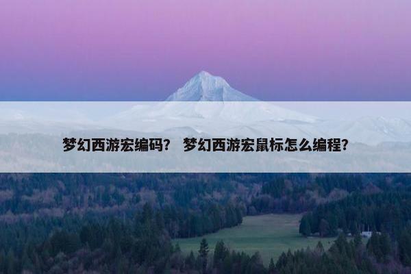 梦幻西游宏编码？ 梦幻西游宏鼠标怎么编程？