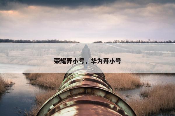 荣耀弄小号，华为开小号