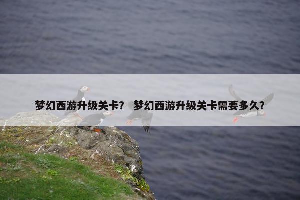 梦幻西游升级关卡？ 梦幻西游升级关卡需要多久？