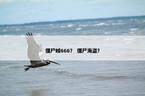 僵尸贼666？ 僵尸海盗？