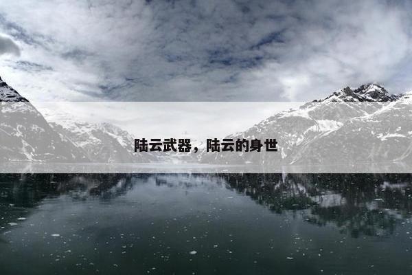 陆云武器，陆云的身世