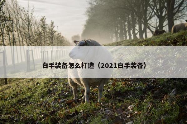 白手装备怎么打造（2021白手装备）