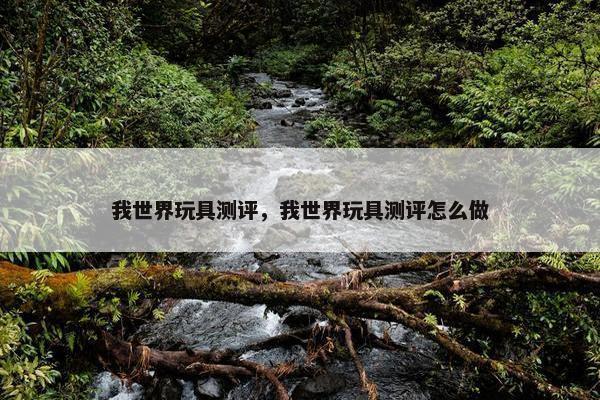 我世界玩具测评，我世界玩具测评怎么做