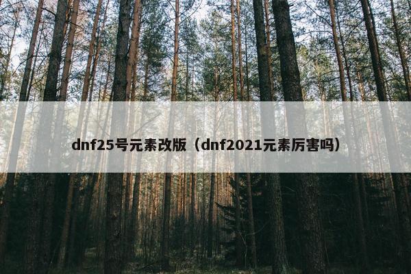 dnf25号元素改版（dnf2021元素厉害吗）