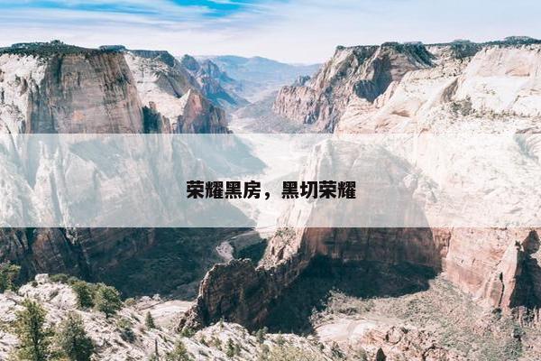 荣耀黑房，黑切荣耀