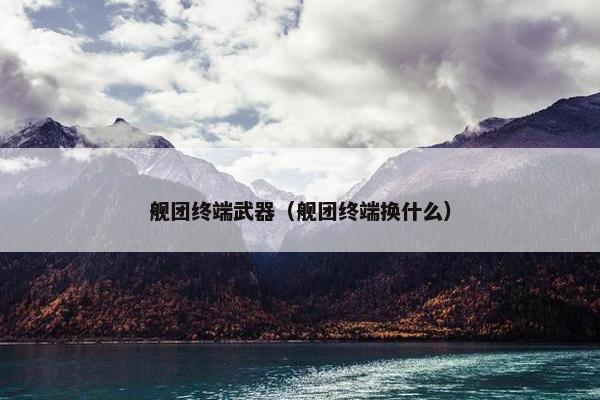 舰团终端武器（舰团终端换什么）
