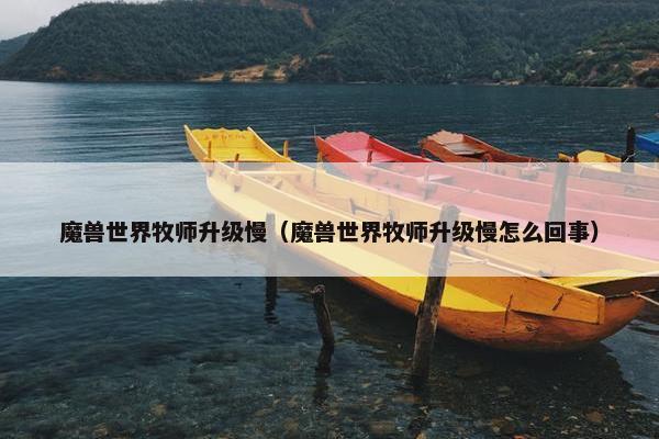 魔兽世界牧师升级慢（魔兽世界牧师升级慢怎么回事）