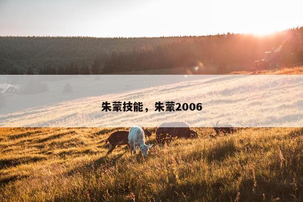 朱蒙技能，朱蒙2006