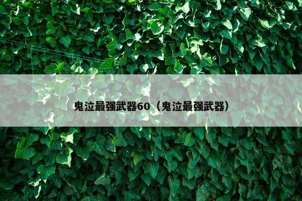 鬼泣最强武器60（鬼泣最强武器）