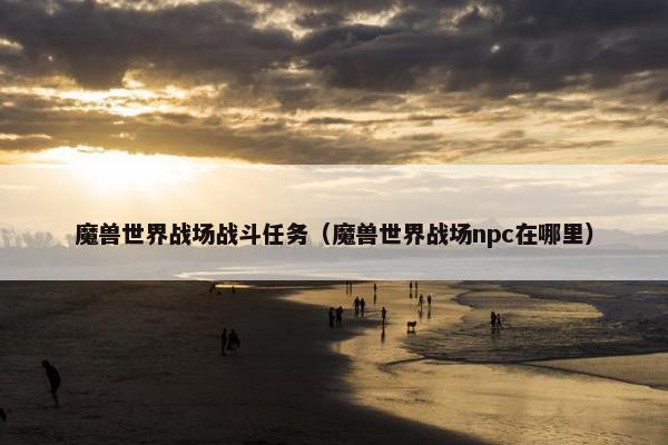 魔兽世界战场战斗任务（魔兽世界战场npc在哪里）