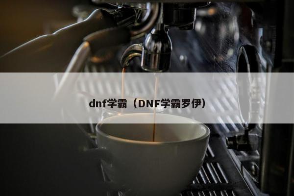 dnf学霸（DNF学霸罗伊）