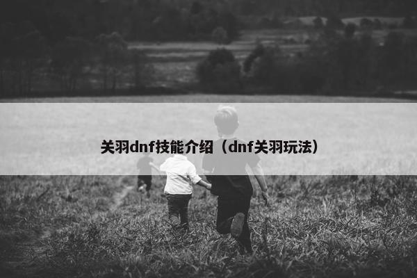 关羽dnf技能介绍（dnf关羽玩法）
