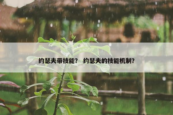 约瑟夫带技能？ 约瑟夫的技能机制？