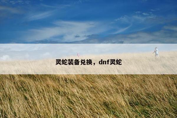 灵蛇装备兑换，dnf灵蛇