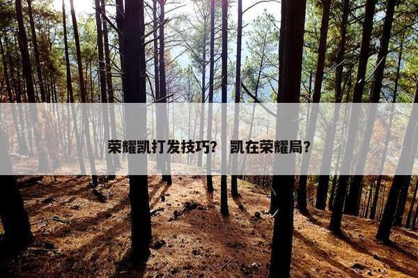 荣耀凯打发技巧？ 凯在荣耀局？