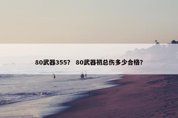 80武器355？ 80武器初总伤多少合格？