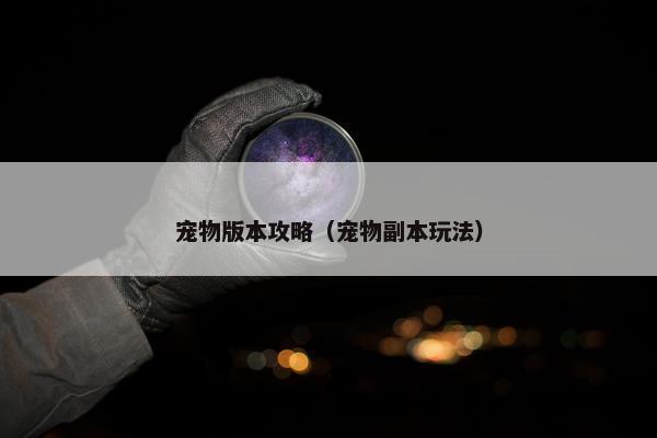 宠物版本攻略（宠物副本玩法）