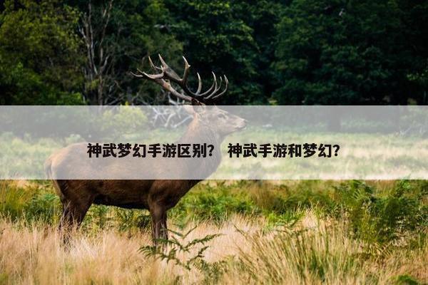 神武梦幻手游区别？ 神武手游和梦幻？