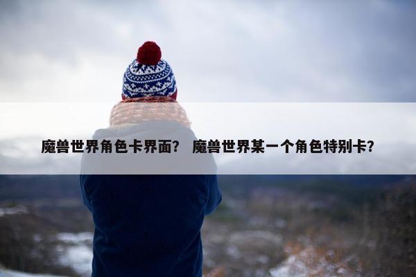 魔兽世界角色卡界面？ 魔兽世界某一个角色特别卡？