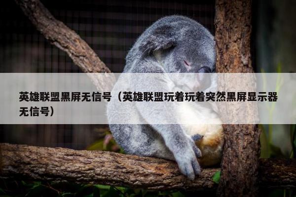 英雄联盟黑屏无信号（英雄联盟玩着玩着突然黑屏显示器无信号）