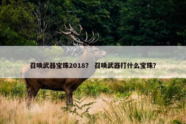 召唤武器宝珠2018？ 召唤武器打什么宝珠？