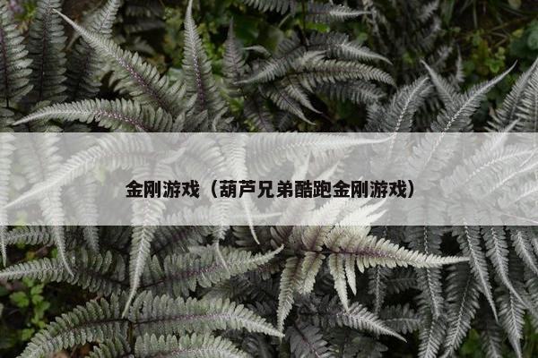 金刚游戏（葫芦兄弟酷跑金刚游戏）