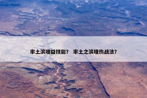 率土滨增益技能？ 率土之滨增伤战法？