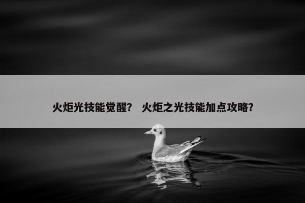 火炬光技能觉醒？ 火炬之光技能加点攻略？