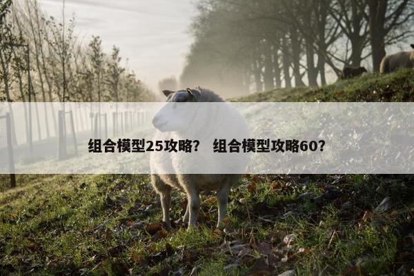 组合模型25攻略？ 组合模型攻略60？