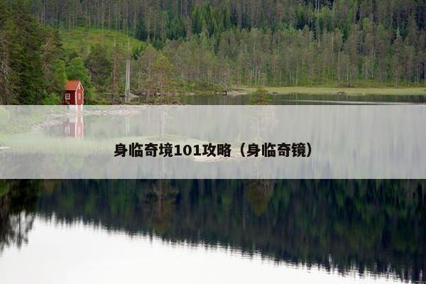 身临奇境101攻略（身临奇镜）