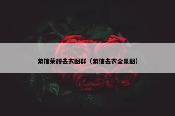 游信荣耀去衣图群（游信去衣全景图）