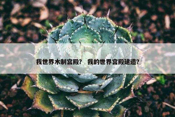 我世界木制宫殿？ 我的世界宫殿建造？