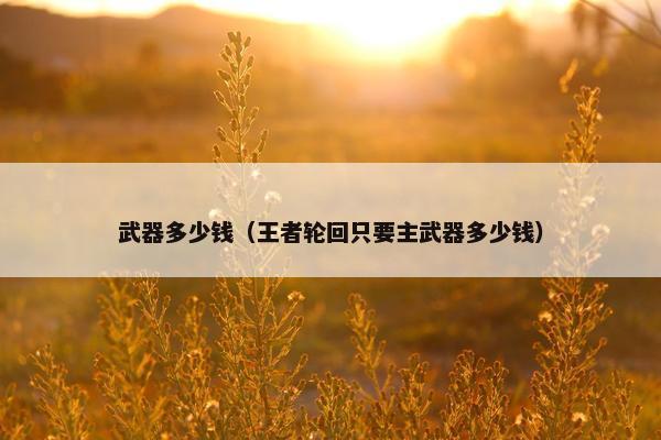武器多少钱（王者轮回只要主武器多少钱）