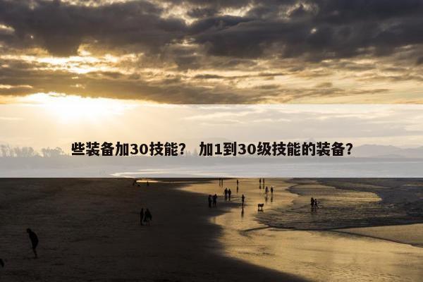些装备加30技能？ 加1到30级技能的装备？