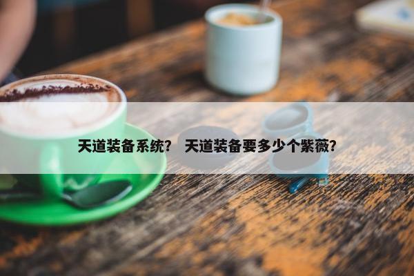 天道装备系统？ 天道装备要多少个紫薇？